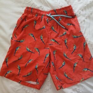 Parrot Print Boys Swim Trunks